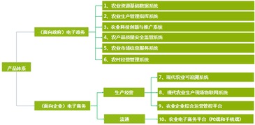 奇石信息科技 以信息技術(shù)助推中國現(xiàn)代農(nóng)業(yè)智慧運營